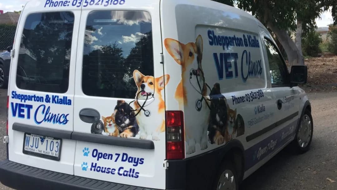 Business listing image