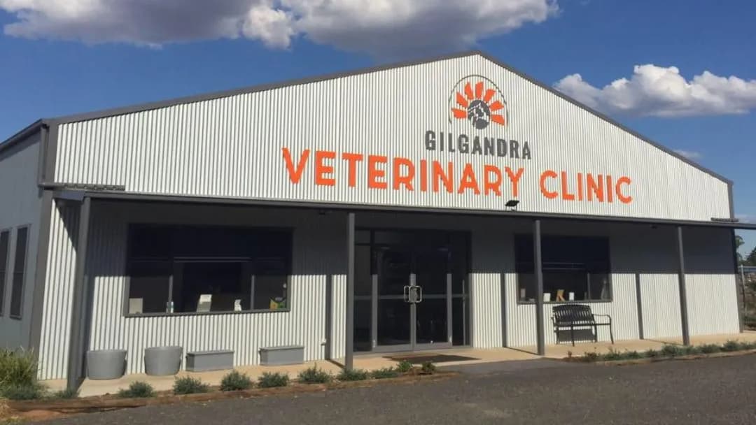 Business listing image