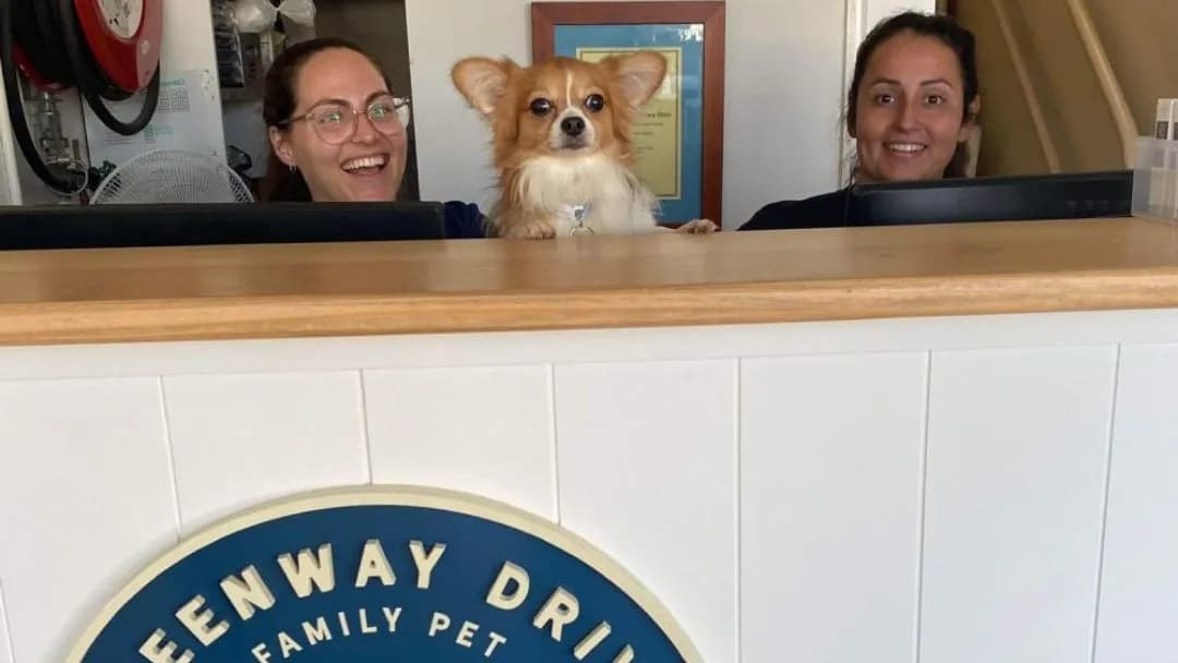 Business listing image