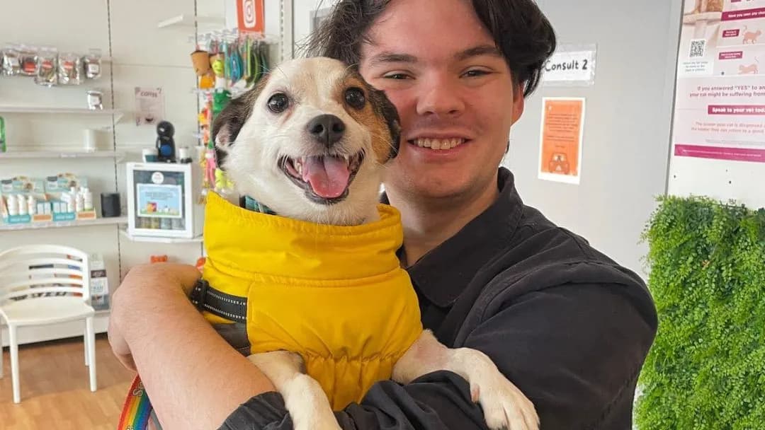 Business listing image