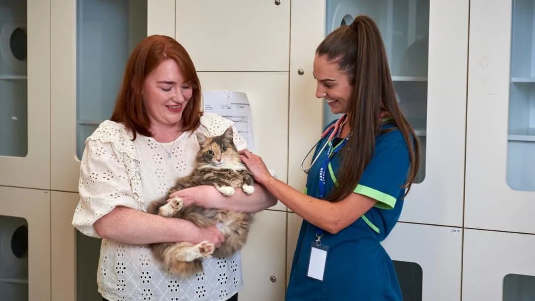 Business listing image