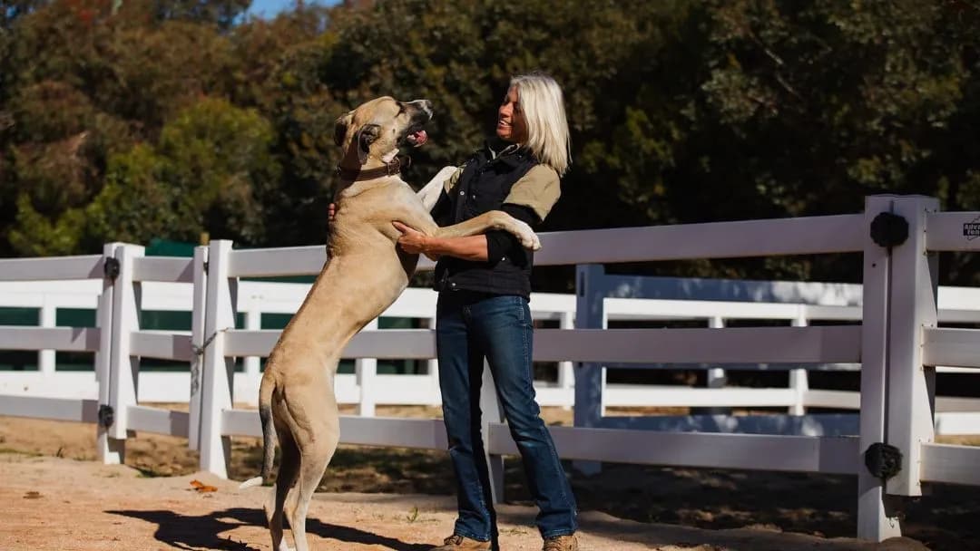 Business listing image