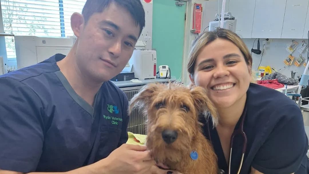 Business listing image