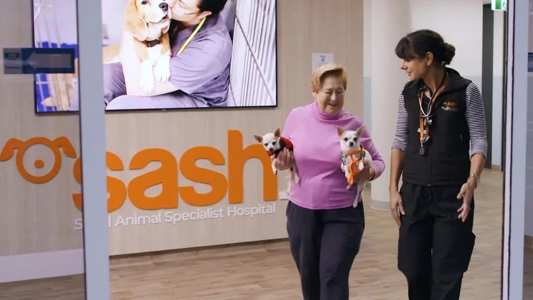 Business listing image