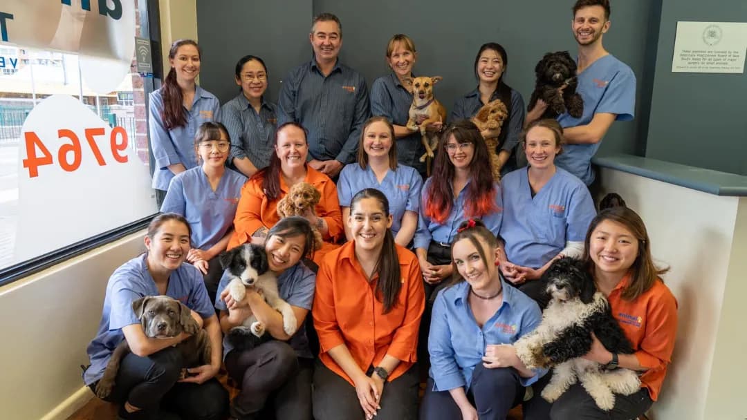 Business listing image