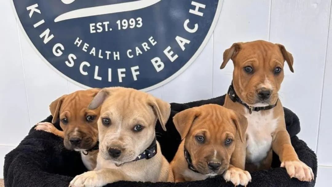 Business listing image